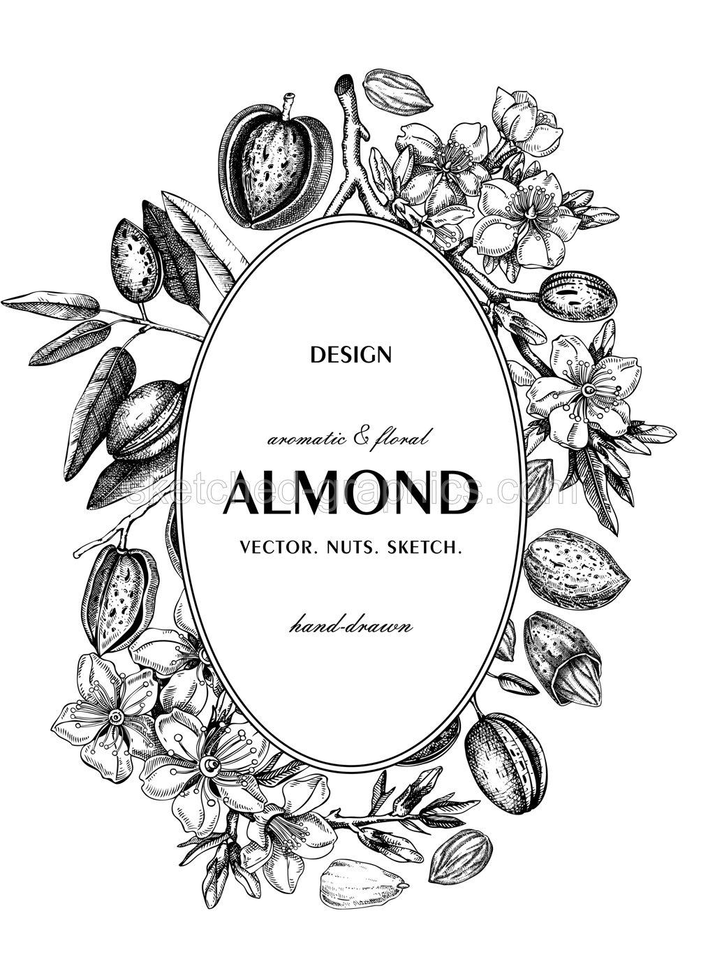 Almond nut wreath design.Blooming branches, nuts, flower sketches. Hand-drawn vector illustration. Botanical background. NOT AI generated Illustration